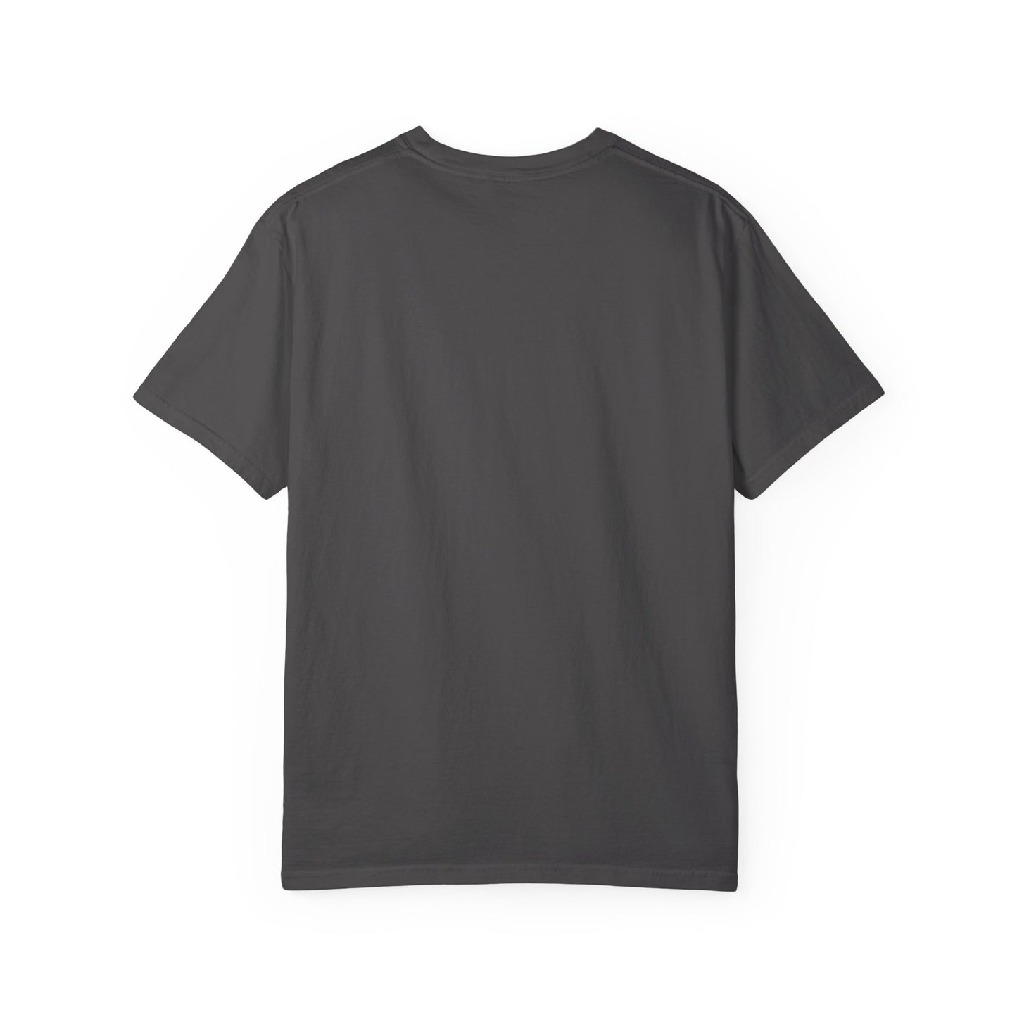 Love 2026 T-Shirt — Patriotic Heart LO?E Design