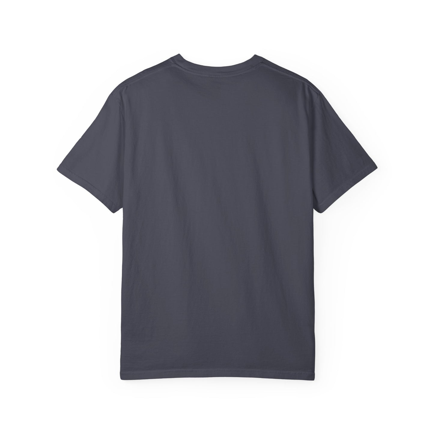 Love 2026 T-Shirt — Patriotic Heart LO?E Design